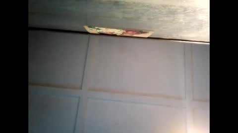 Warwick online show from January 28, 7:53 am