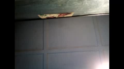 Warwick online show from February 22, 7:56 am