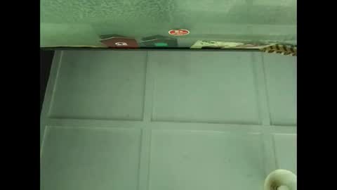 Warwick online show from September 30, 4:56 am