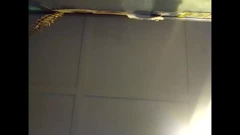 Warwick online show from October 28, 7:31 am