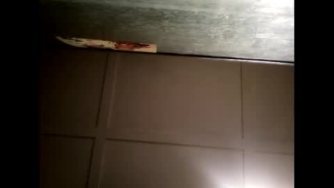 Warwick online show from February 21, 11:01 am