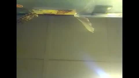 Warwick online show from October 25, 10:03 am