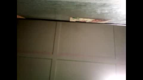 Warwick online show from December 26, 9:01 am