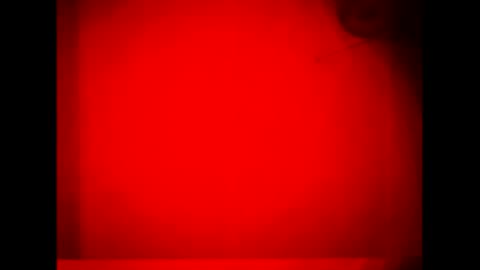 Warwick online show from September 16, 11:45 am