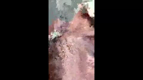 fukitol73 online show from April 19, 9:28 pm