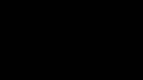 Linnys Palace online show from December 17, 3:13 am