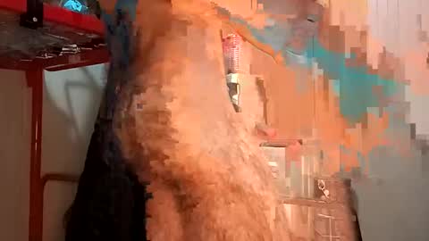 Italian men online show from February 2, 2:24 pm