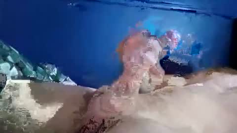 funtimes4433 online show from July 21, 6:48 am