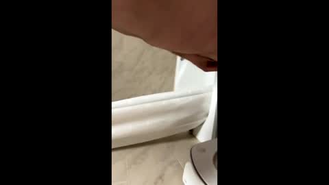 fvmendoza online show from November 5, 1:51 am