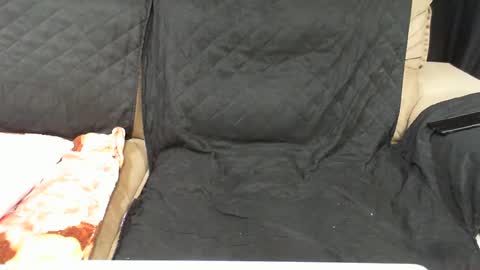 Snapshot of gabibrasil chatting on February 18, 1:54 am gaby layla online show from February 18, 1:54 am