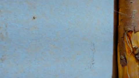 gabo_horny01 online show from July 20, 8:32 pm