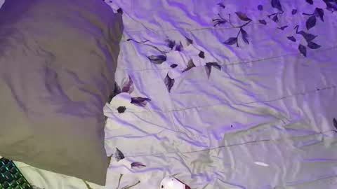 gabriel online show from March 16, 5:44 am