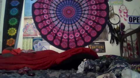 Gardenia online show from February 18, 8:47 am