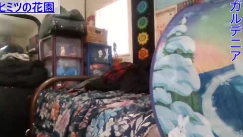 Gardenia online show from January 8, 6:31 pm