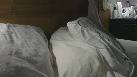 Rose online show from January 12, 2:07 am