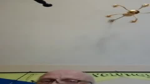 Ralfi online show from July 4, 7:28 pm