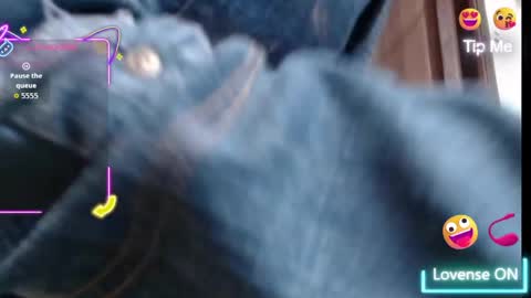 Georgi online show from April 9, 12:11 pm