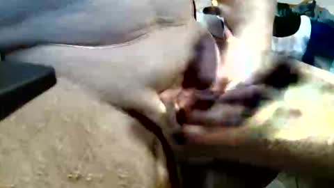 ghost1805 online show from October 20, 11:32 pm