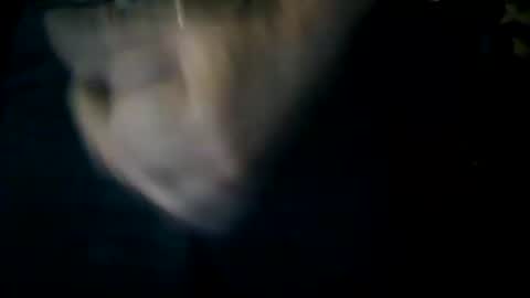 giftedbiker online show from September 15, 4:47 am