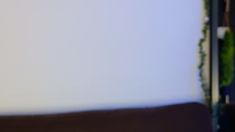 gilakat online show from February 7, 9:56 am