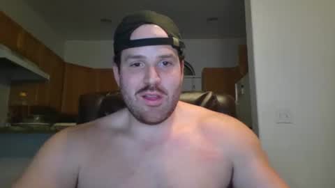 Snapshot of gildedsins1 chatting on February 3, 2:03 am WildBoyVibes online show from February 3, 2:03 am