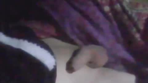 lovegirlscallme online show from October 15, 2:59 am