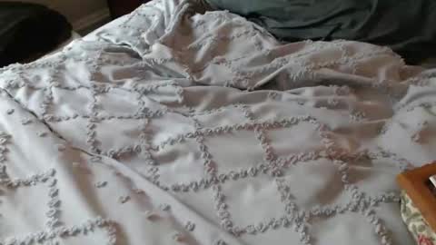 gizmo706 online show from September 17, 11:57 am