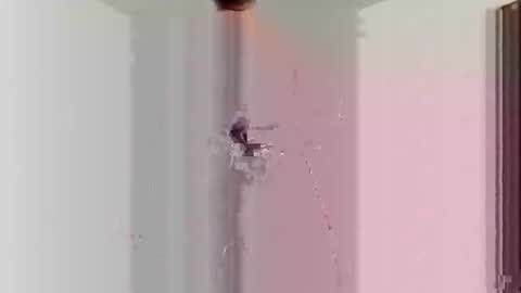 goblue4133 online show from December 25, 5:37 am