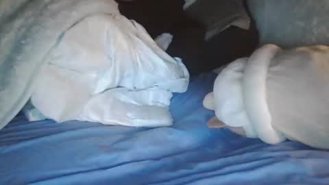 goodbiddings online show from January 4, 11:38 pm