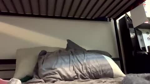 grd137 online show from November 15, 10:39 am