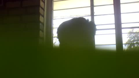 Snapshot of grey_stud chatting on January 4, 6:09 am Grey Stud online show from January 4, 6:09 am