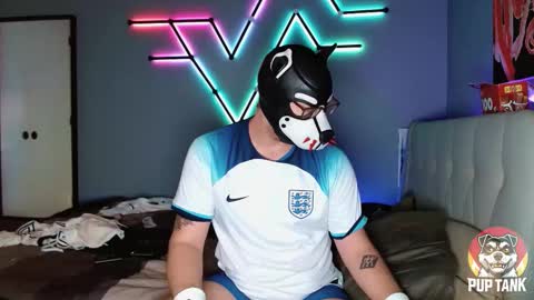 Alpha pup online show from November 1, 7:13 pm