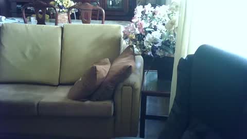 gutobhz249564 online show from March 4, 6:07 pm