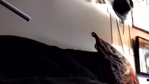 Marty online show from October 1, 12:48 pm