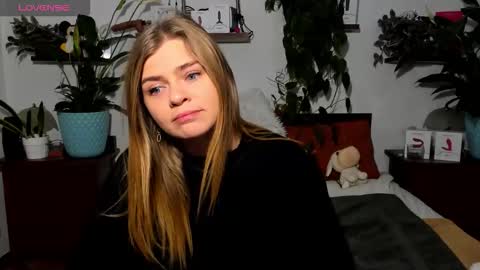 Haley online show from November 26, 8:44 am