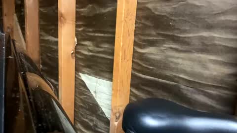 handsomeda1 online show from February 1, 2:47 am