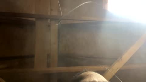 handsomeda1 online show from January 30, 10:29 am