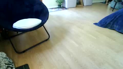 Leila online show from April 1, 10:28 pm