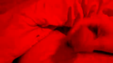 hapyending960 online show from March 24, 6:47 pm