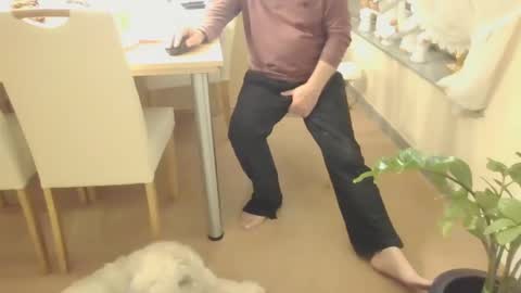 harald1234 online show from December 6, 8:34 pm