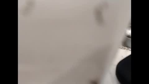 Snapshot of hardandhorny422 chatting on October 12, 1:04 pm hardandhorny422 online show from October 12, 1:04 pm