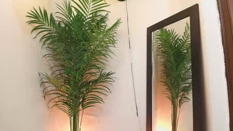 Harper  online show from October 14, 6:27 am