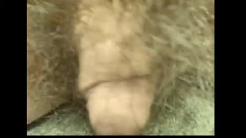 harry_banana online show from July 25, 6:39 pm