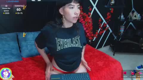 Hary noa online show from February 4, 6:36 am