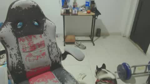 Hasani online show from October 13, 5:53 am