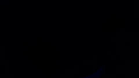 hastra hot online show from December 21, 10:16 pm