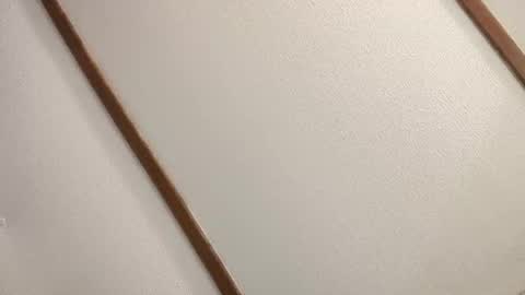 havefunwithus444 online show from November 9, 2:26 am