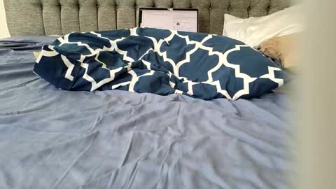 Amber  -   or vip  online show from October 2, 5:01 pm