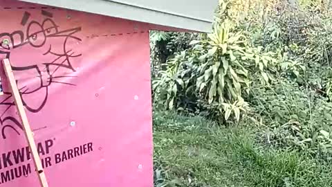 heaththrowscash online show from January 12, 2:29 am