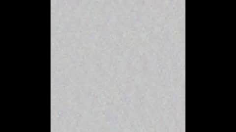 HEDONISTIC TRAIT online show from December 15, 9:27 am